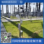 订做6要素自动蜜桃AV片下载