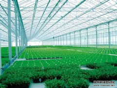 专业定制农业蜜桃AV片下载设备监测系统