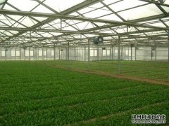 智能农业环境监测仪的工作原理