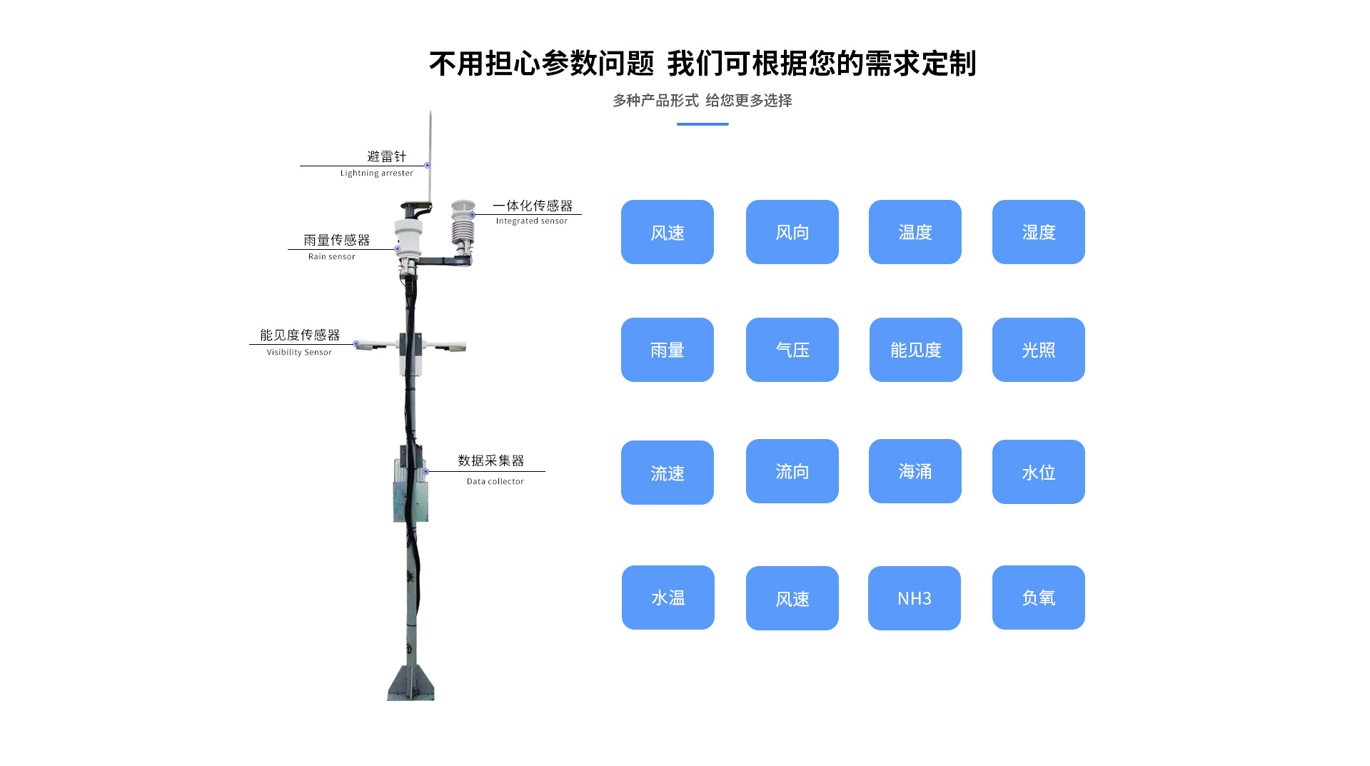 海洋蜜桃AV片下载